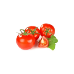 Tomate Larga Vida-Fresco